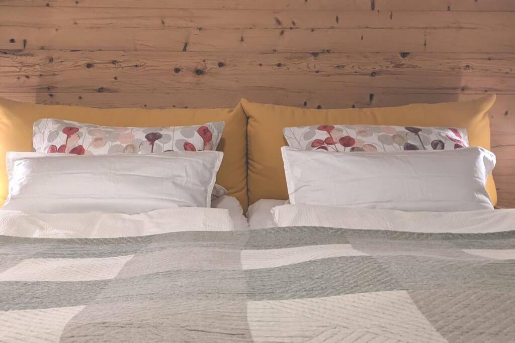 Ferienwohnung In Ruhiger Lage Direkt Am Wald ハイデンハイム・アン・デア・ブレンツ エクステリア 写真