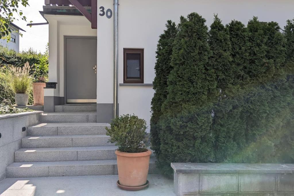 Ferienwohnung In Ruhiger Lage Direkt Am Wald ハイデンハイム・アン・デア・ブレンツ エクステリア 写真