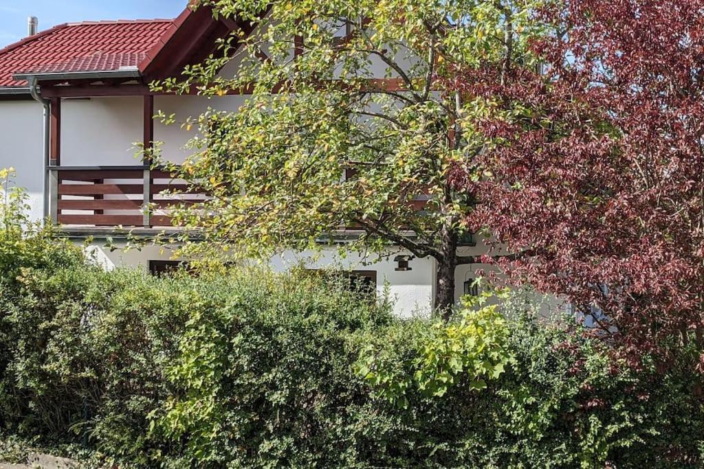 Ferienwohnung In Ruhiger Lage Direkt Am Wald ハイデンハイム・アン・デア・ブレンツ エクステリア 写真